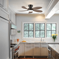 Graceshire contemporary ceiling fan - Joyfuzzy