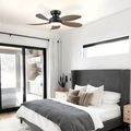 Graceshire contemporary ceiling fan - Joyfuzzy
