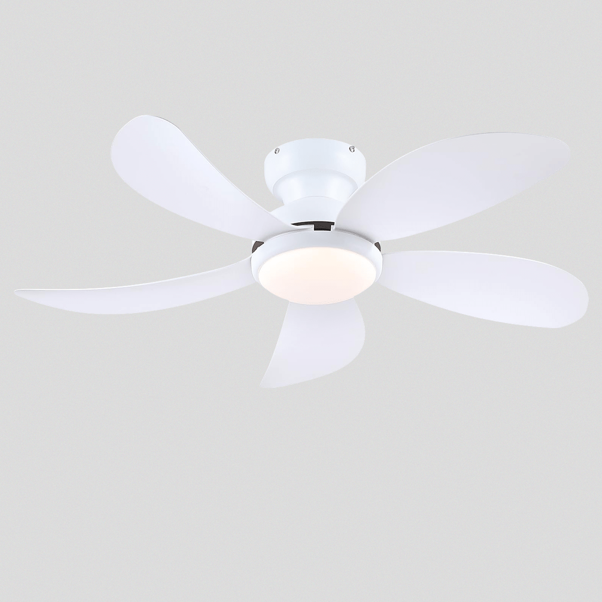 Graceshire contemporary ceiling fan - Joyfuzzy