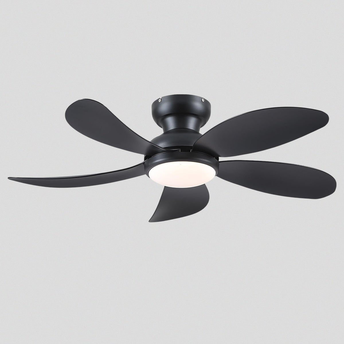 Graceshire contemporary ceiling fan - Joyfuzzy