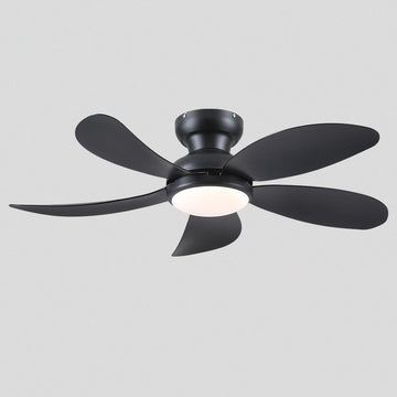 Graceshire contemporary ceiling fan - Joyfuzzy