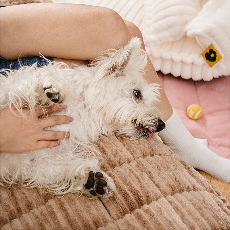 Make Waffle Biscuit Couch Cover – Cozy Soft Flannel & Breathable Pet Mat