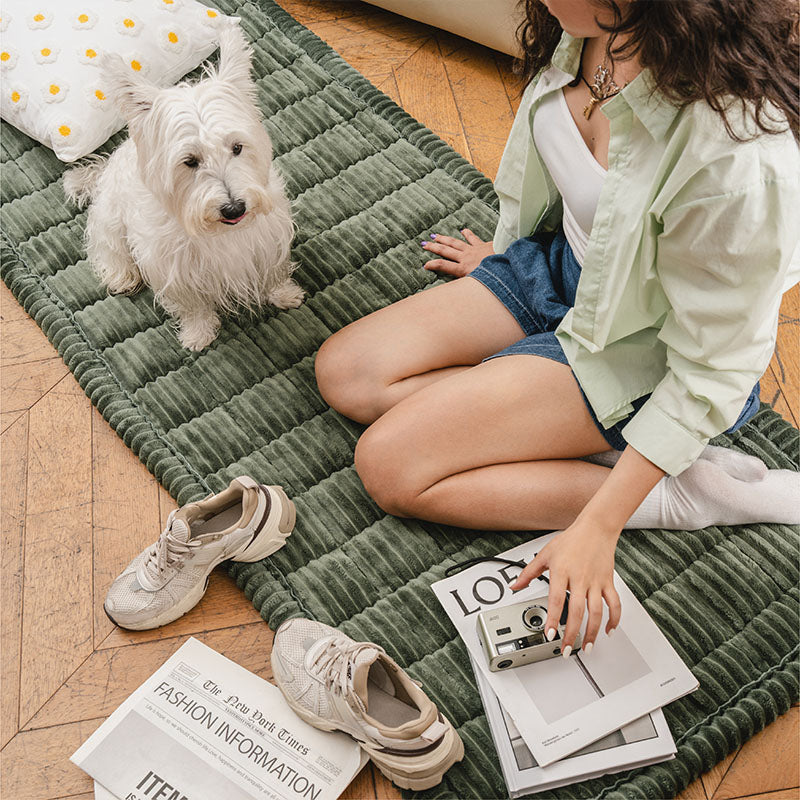 Lazy Soft Flannel Breathable Pet Mat Non-slip Couch Covers