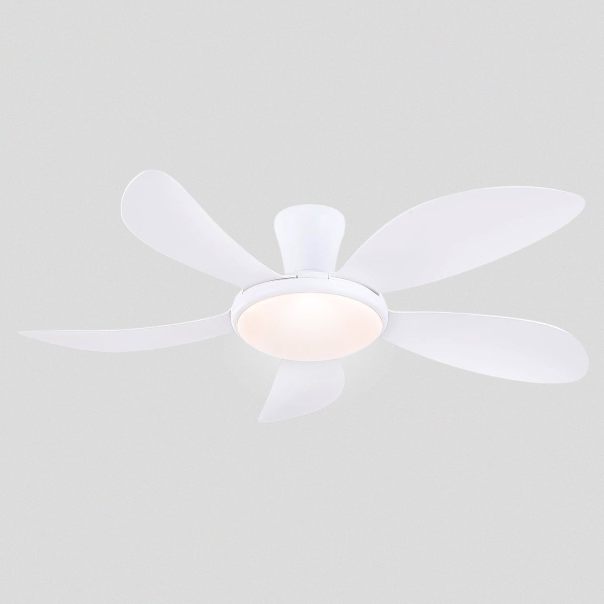 Modern LED Ceiling Fans Low Profile Ceiling Fans with Lights 6 Speeds 48" - Joyfuzzy