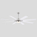 Ventora Fans with Lights - Joyfuzzy