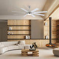 Ventora Fans with Lights - Joyfuzzy