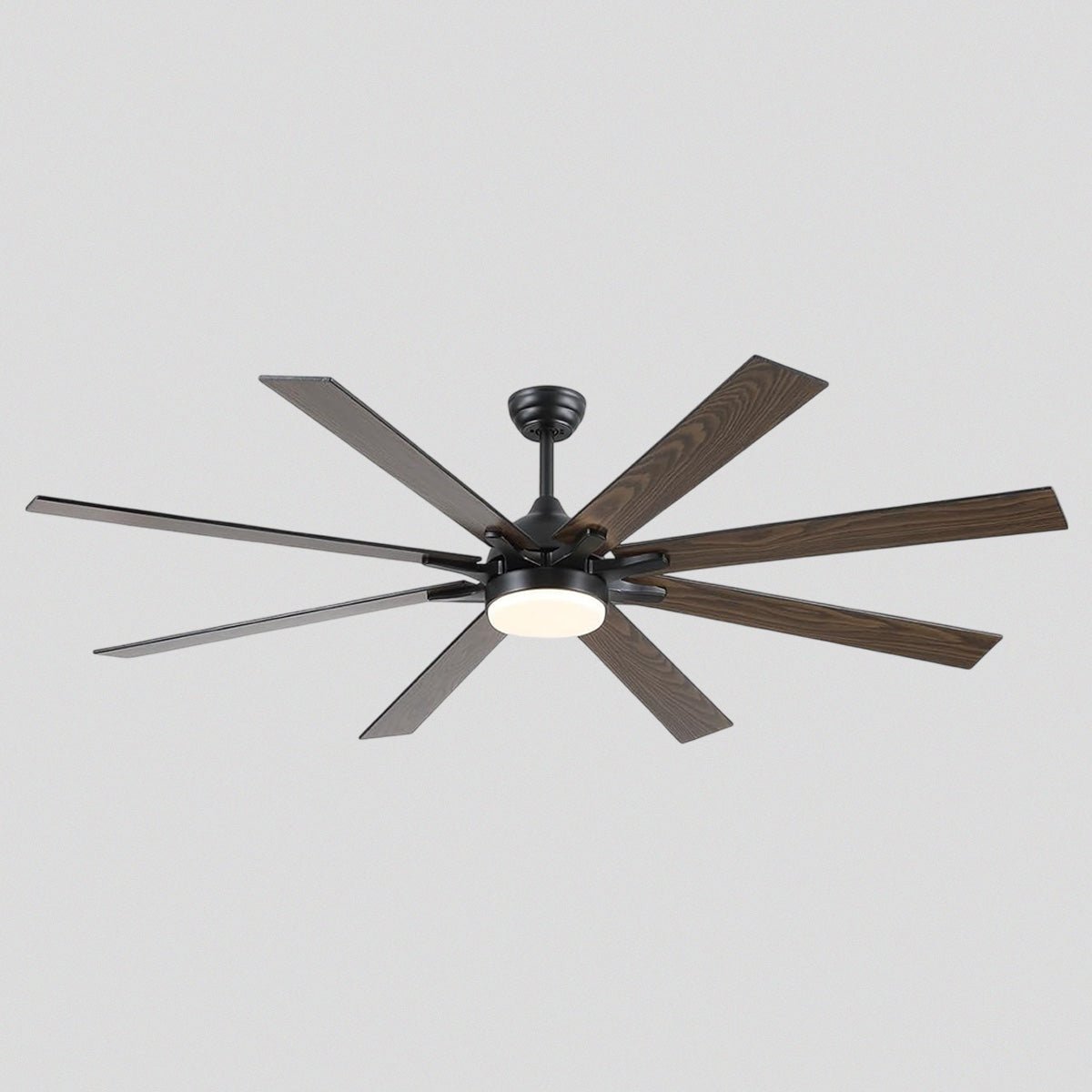 Ventora Fans with Lights - Joyfuzzy