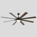 Ventora Fans with Lights - Joyfuzzy