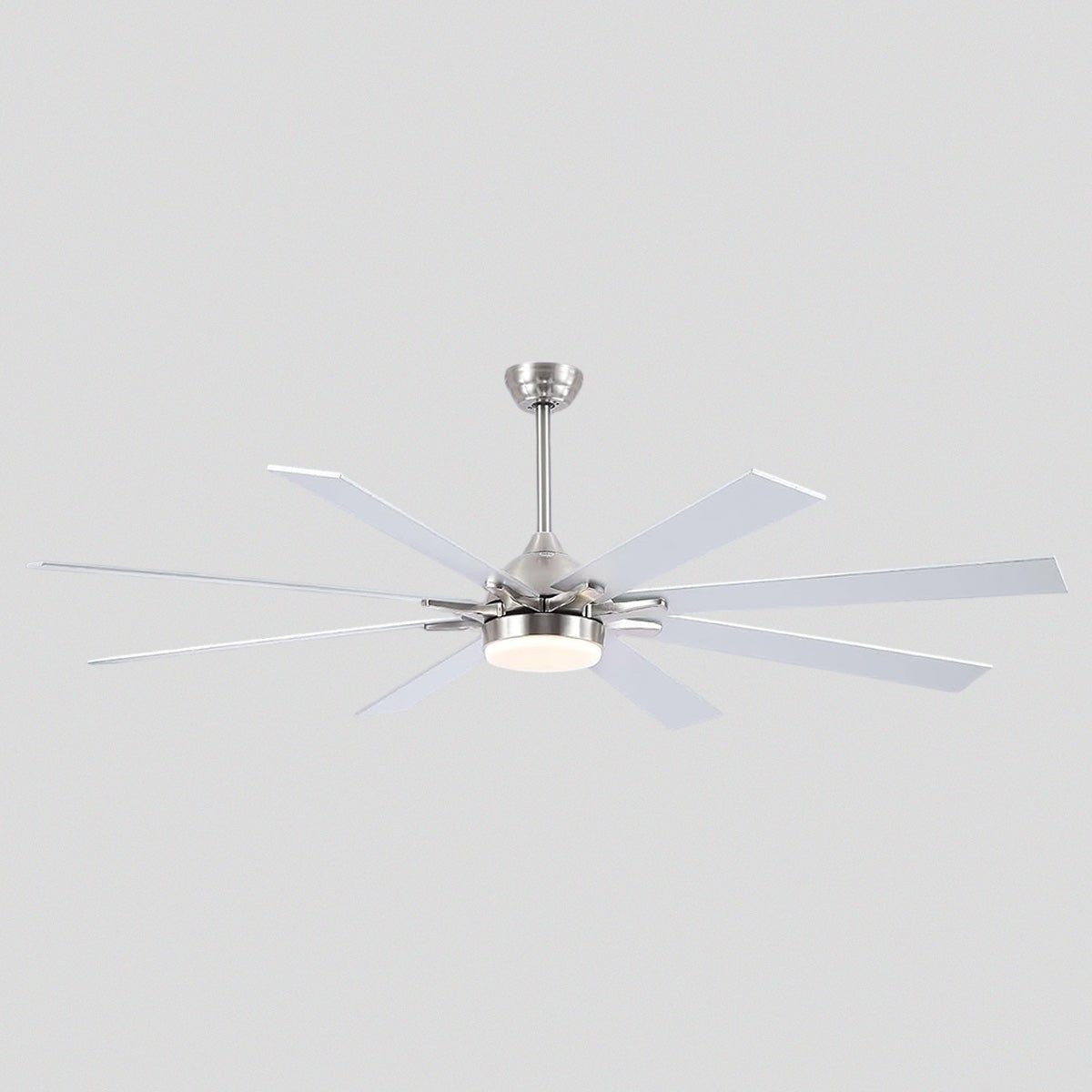 Ventora Fans with Lights - Joyfuzzy