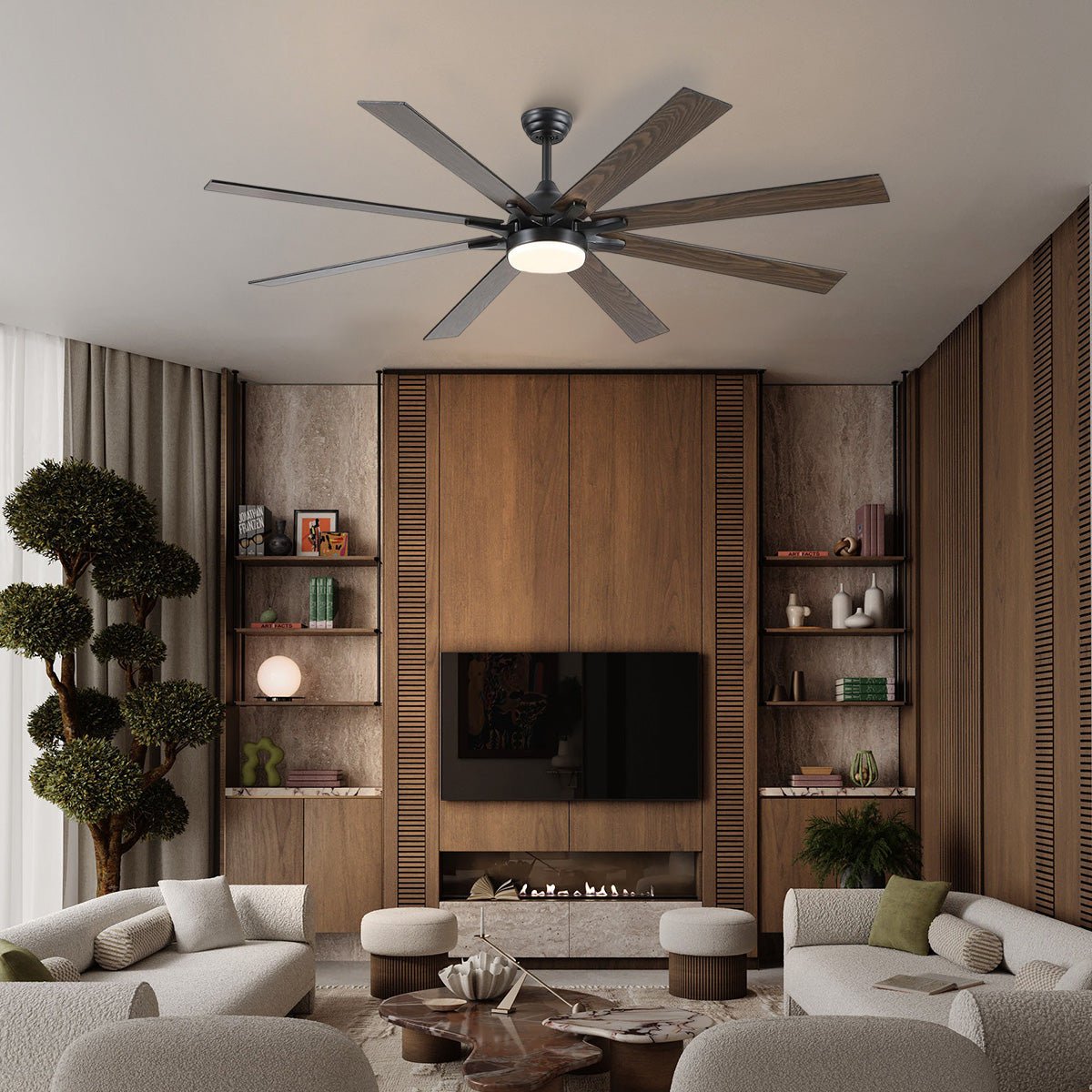 Ventora Fans with Lights - Joyfuzzy