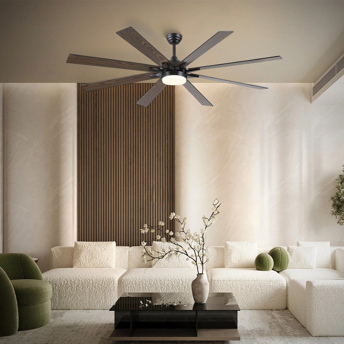 Ventora Fans with Lights - Joyfuzzy