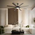 Ventora Fans with Lights - Joyfuzzy