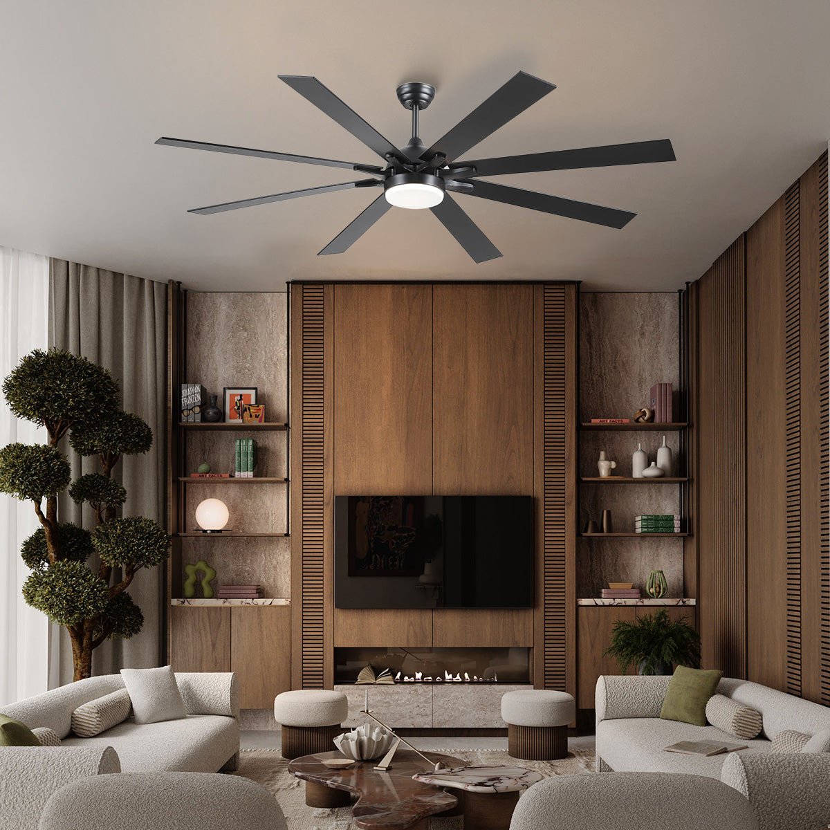 Ventora Fans with Lights - Joyfuzzy
