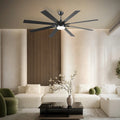 Ventora Fans with Lights - Joyfuzzy