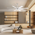 Ventora Fans with Lights - Joyfuzzy