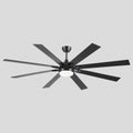 Ventora Fans with Lights - Joyfuzzy