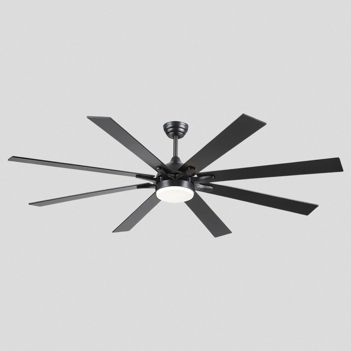 Ventora Fans with Lights - Joyfuzzy