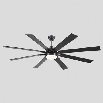 Ventora Fans with Lights - Joyfuzzy